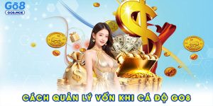 Cách quản lý vốn khi cá độ GO8