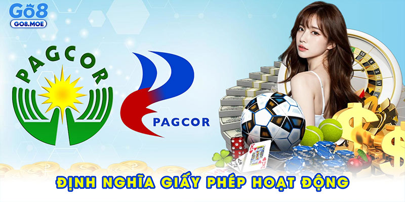 Định nghĩa giấy phép hoạt động