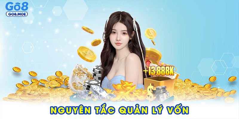 Nguyên tắc quản lý vốn