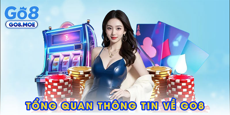 Tổng quan thông tin về chúng tôi GO8