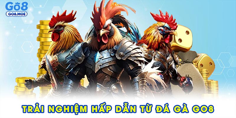 Trải nghiệm hấp dẫn từ sảnh cược đá gà GO8