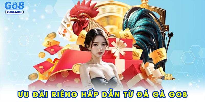 Ưu đãi và khuyến mãi riêng hấp dẫn từ đá gà GO8