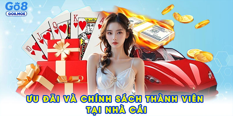 Ưu đãi và chính sách thành viên tại nhà cái